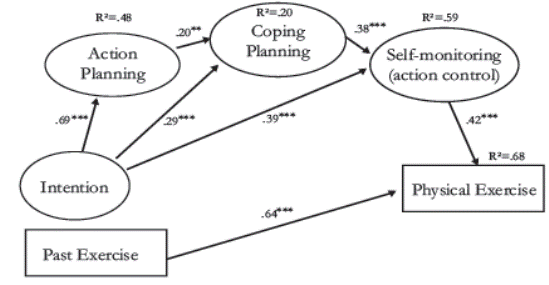 Health Action Process Approach