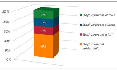 Microbiota of dental caries in primary teeth of a Costa Rican ...