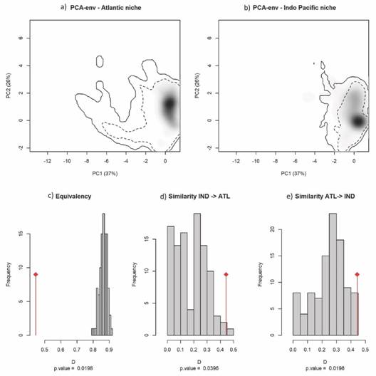Potential Distribution Of The Tiger Shrimp Penaeus Monodon Decapoda Penaeidae An Invasive Species In The Atlantic Ocean